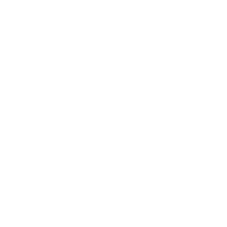 Logo CTPAT